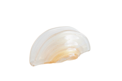 Porta Guardanapo leque champanhe com ouro