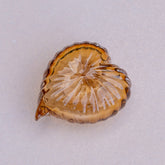 Coração fechado âmbar