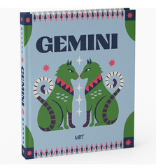 Livro caixa Signos Gemini
