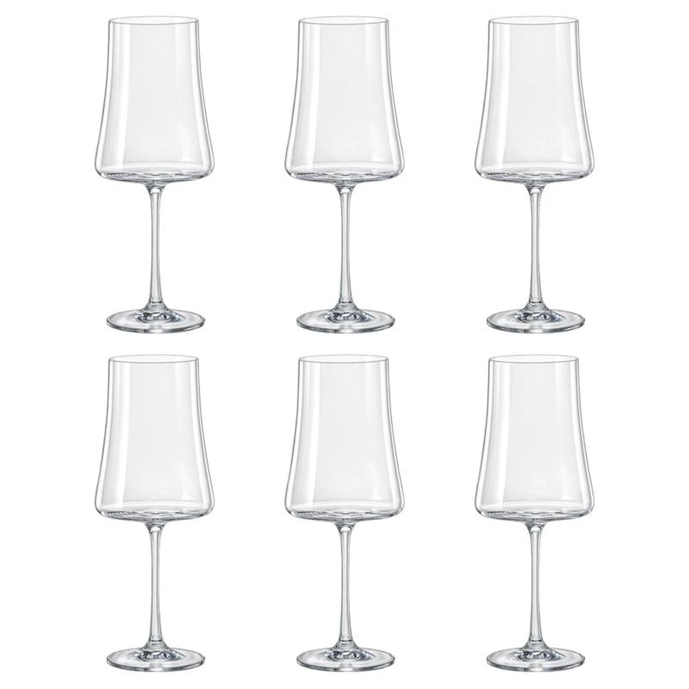 Taça Xtra 460ml