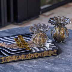 Livro African Adventures: The Greatest Safari on Earth – Edição Especial com Case em Acrílico