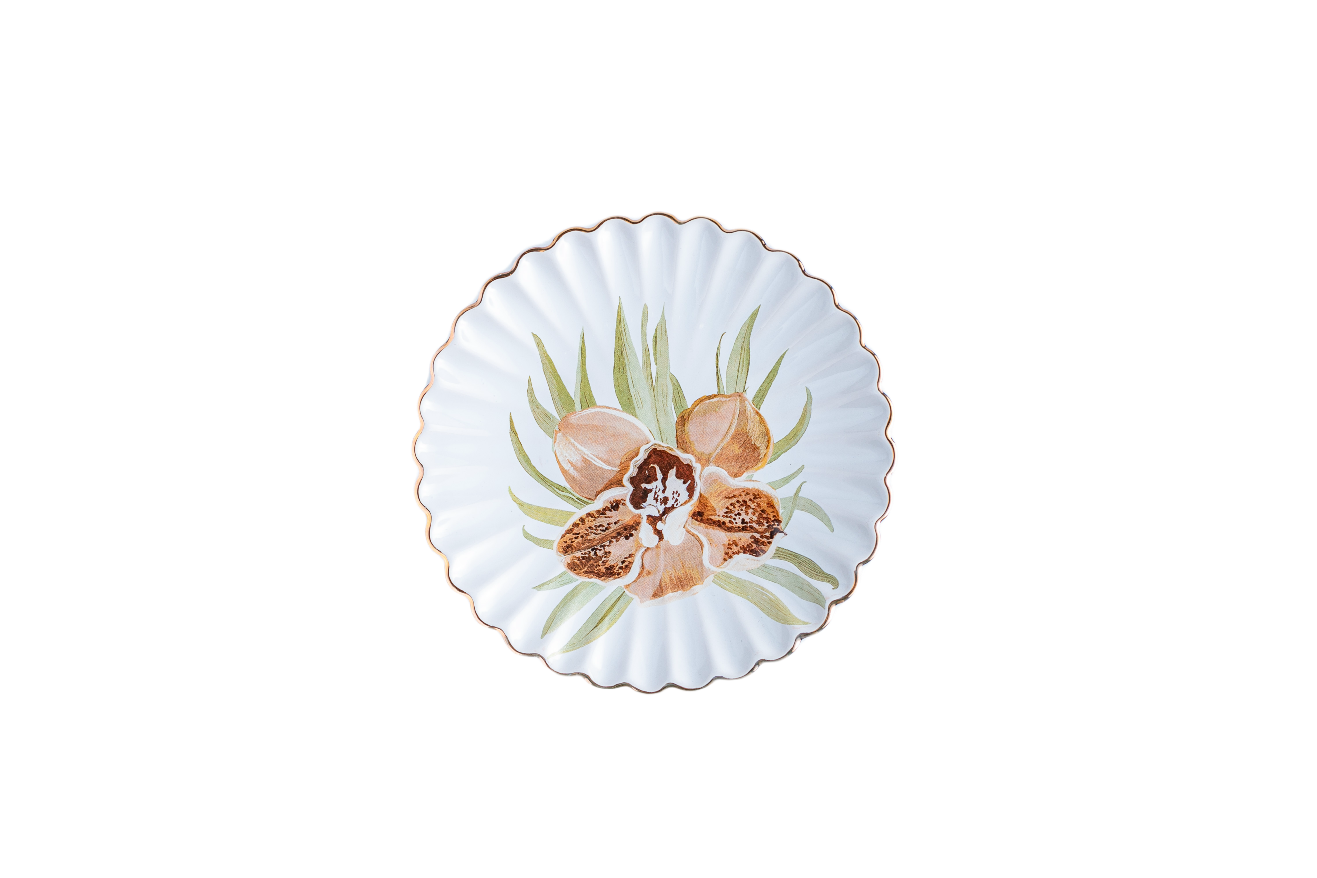 Conjunto de pratos Água de coco