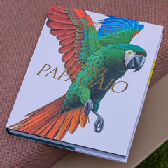 Livro Terra Papagaio