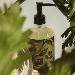 Home spray Herbarium