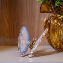 Borboleta Ágata Natural