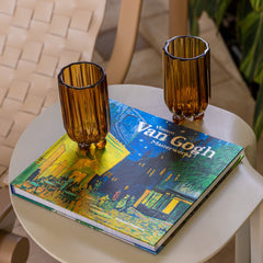 Livro Vicent Van gogh