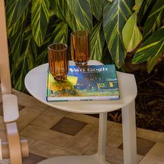 Livro Vicent Van gogh