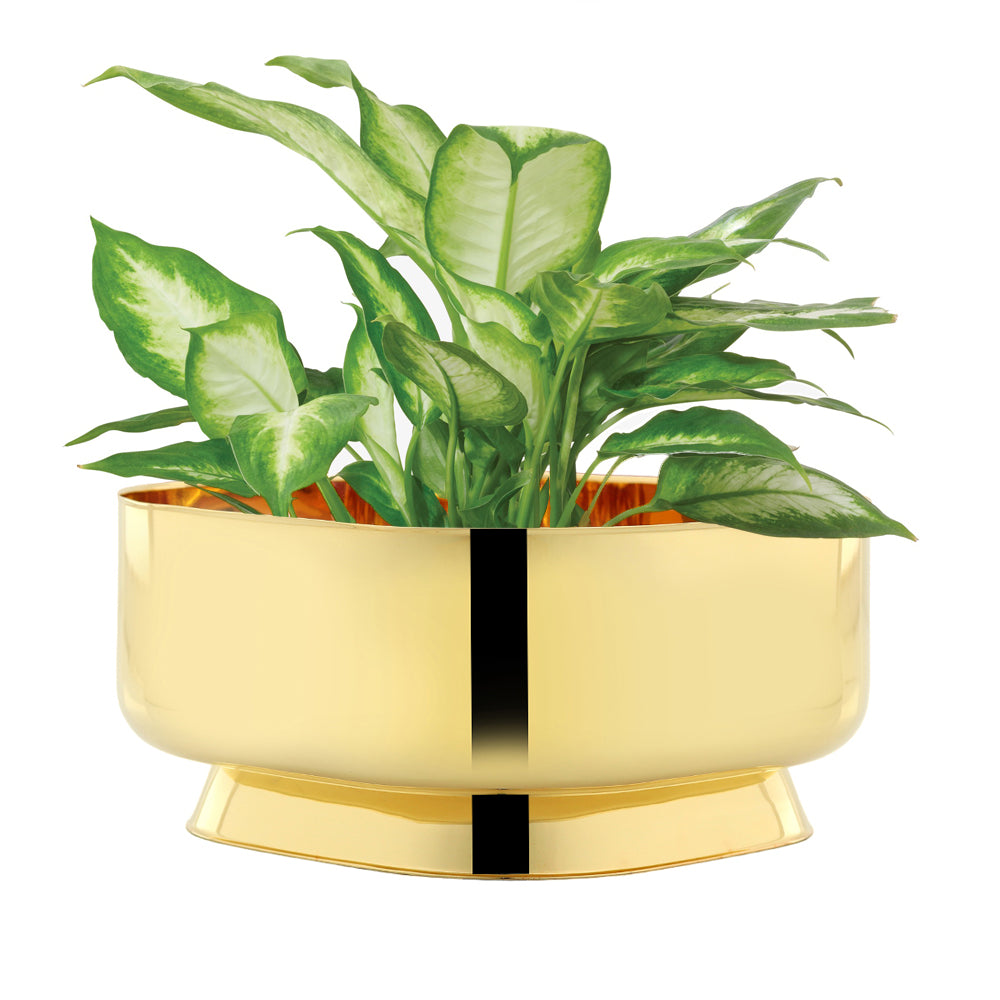 Cachepot Bellini ouro Riva