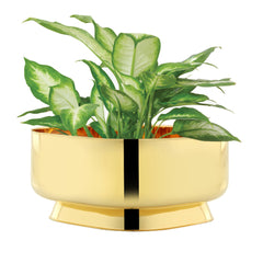 Cachepot Bellini ouro Riva