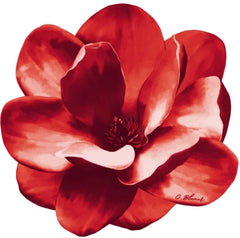 Jogo americano magnólia vermelho