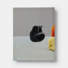 Livro Paola Pivi