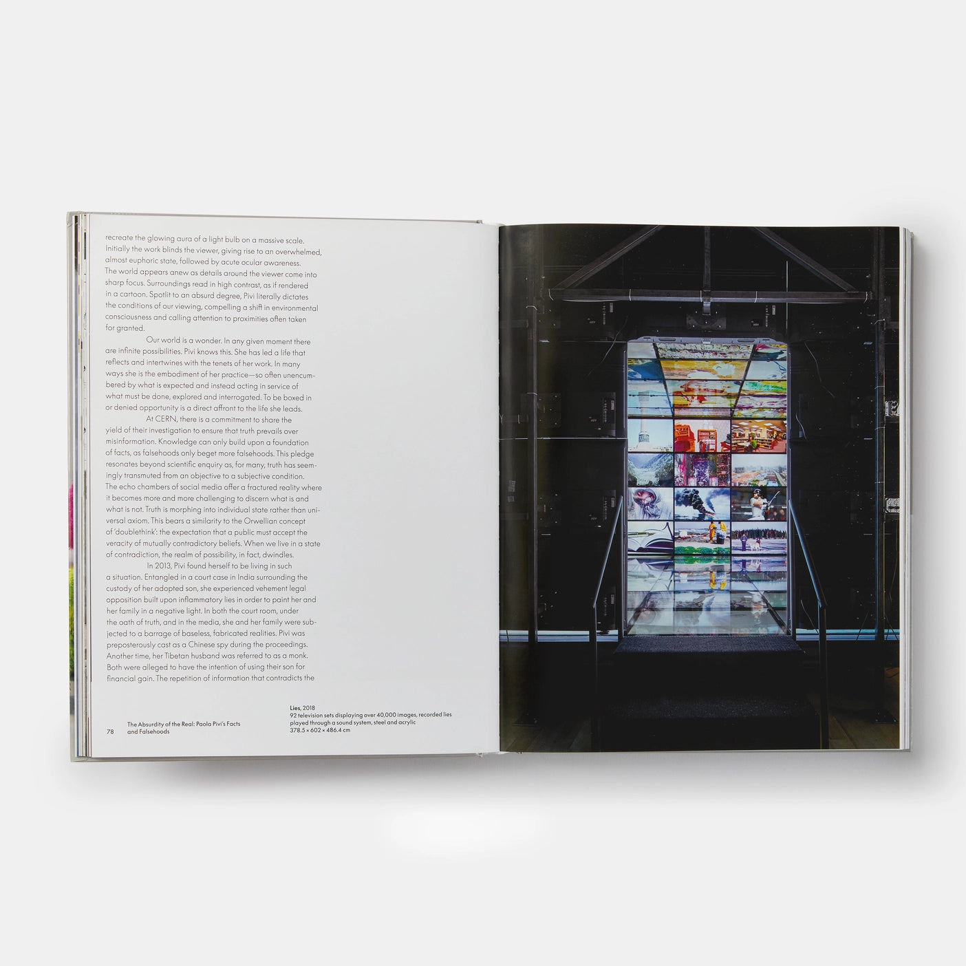 Livro Paola Pivi
